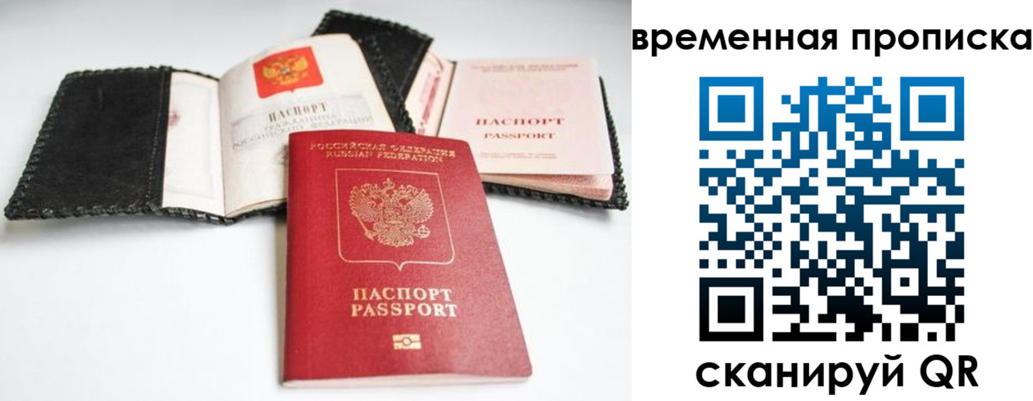 прописка для школы в Ржеве